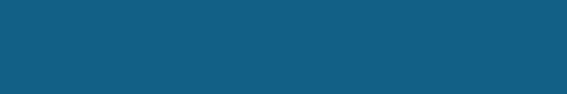 navy blue divider