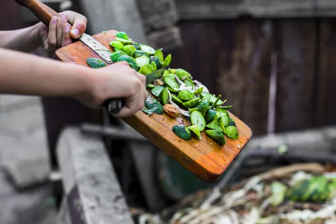 adding food to a compost bin